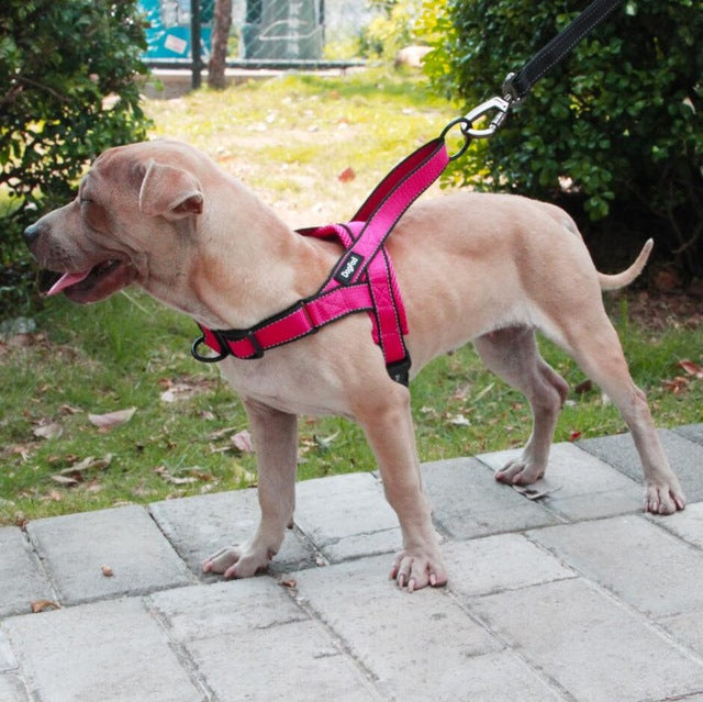 Dog Harness Easy On and Off
