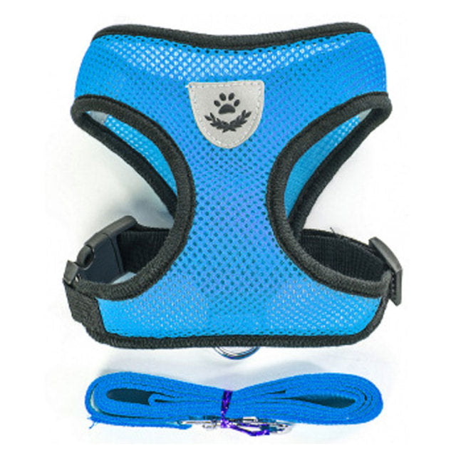 Breathable Small Dog Harness and Leash Set