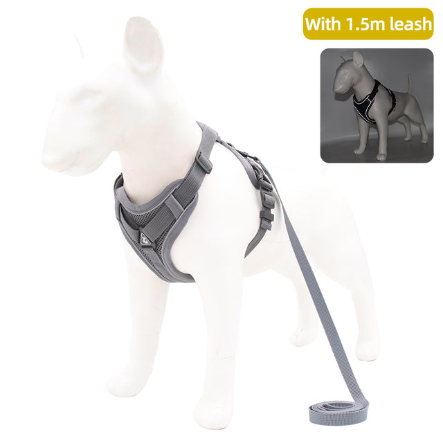 Harness with 1.5m Traction Leash Set