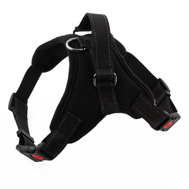 Soft Adjustable Harness
