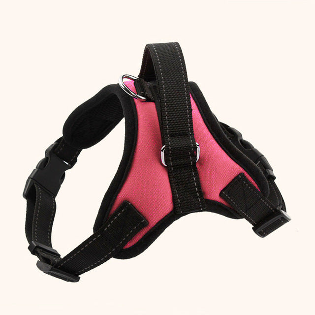 Soft Adjustable Harness