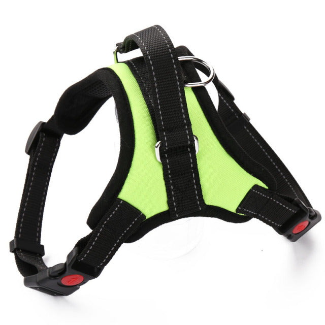 Soft Adjustable Harness