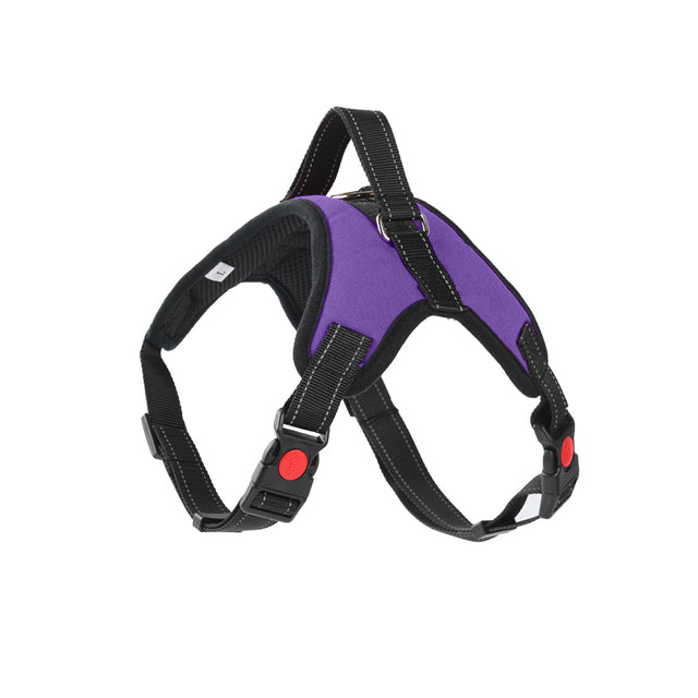 Soft Adjustable Harness