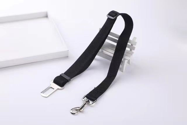 Dog Belt Adjustable Leash