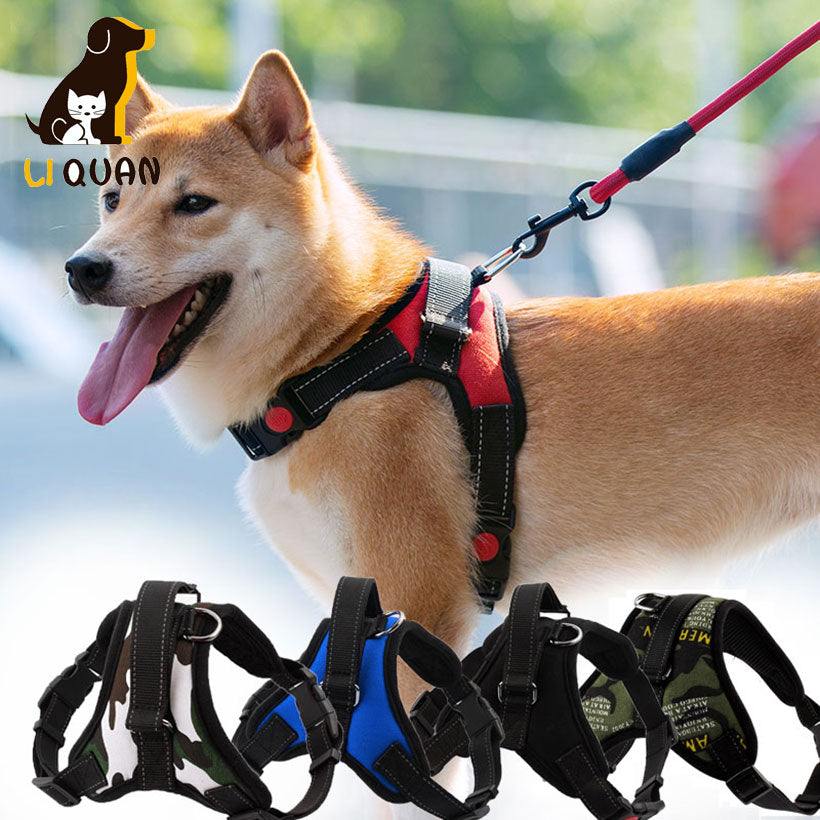 Soft Adjustable Harness
