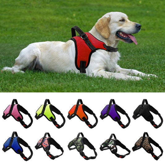 Adjustable Harness with Leash