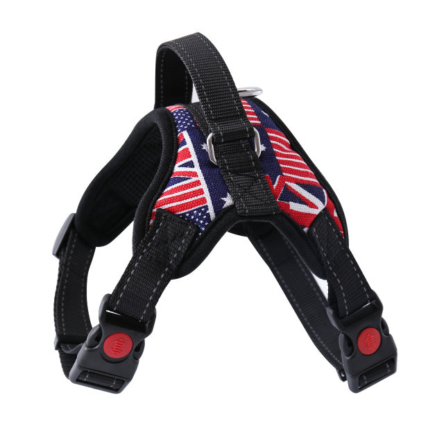 Adjustable Harness with Leash