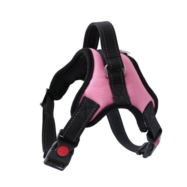 Adjustable Harness with Leash