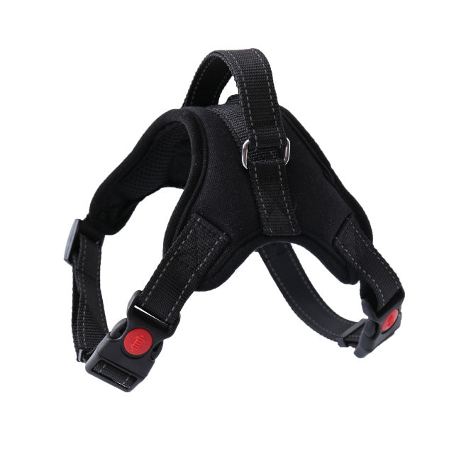 Adjustable Harness with Leash