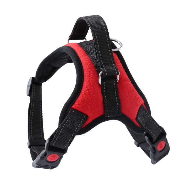Adjustable Harness with Leash