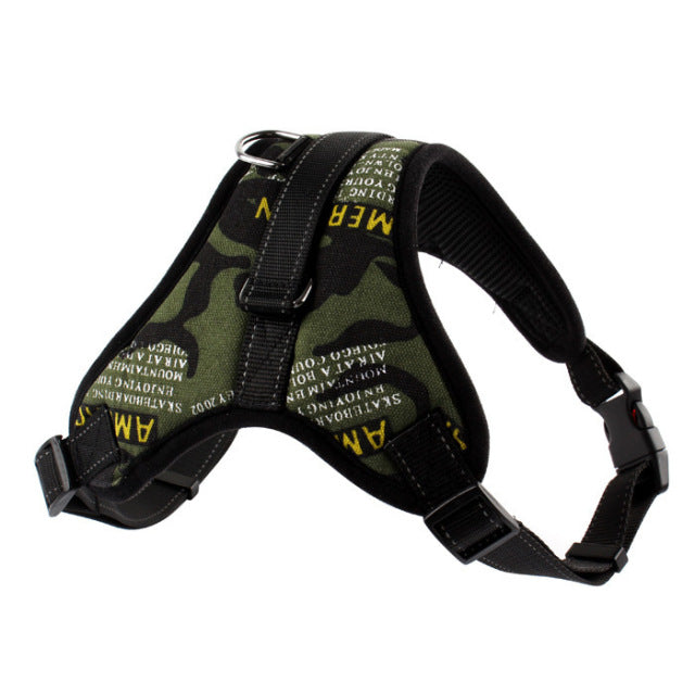 Adjustable Harness with Leash