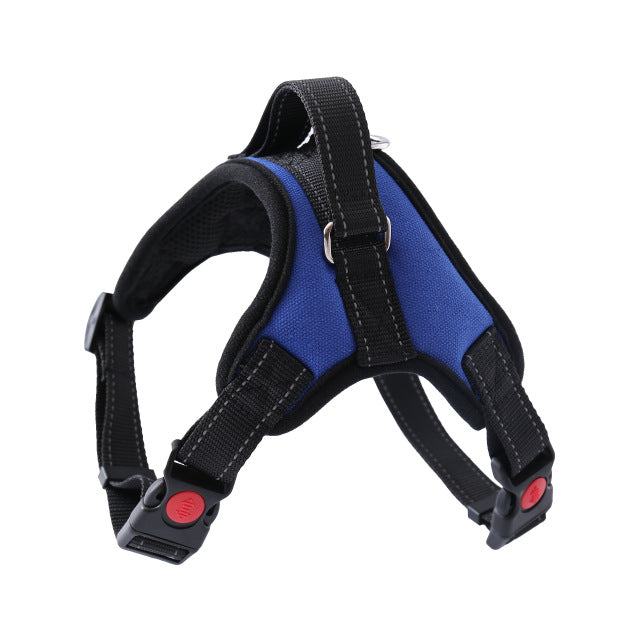 Adjustable Harness with Leash