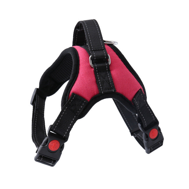Adjustable Harness with Leash