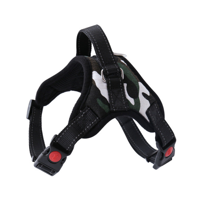 Adjustable Harness with Leash