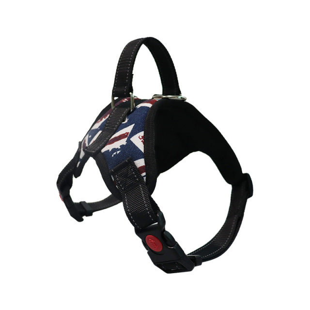 Adjustable Harness with Leash