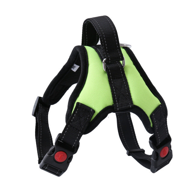 Adjustable Harness with Leash