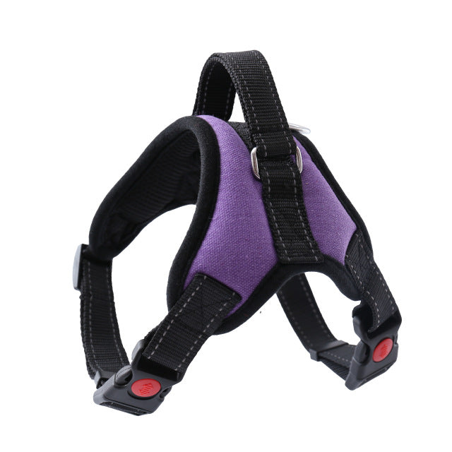 Adjustable Harness with Leash