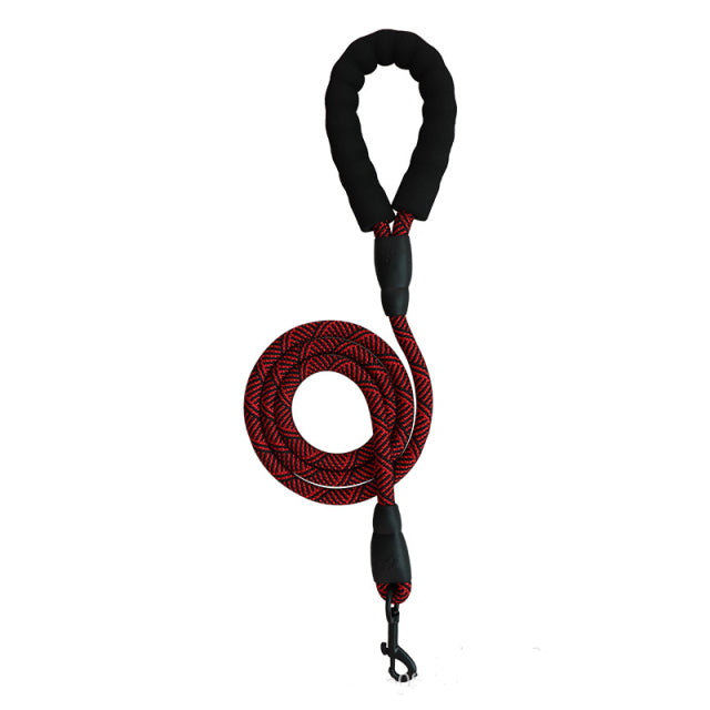Adjustable Harness with Leash