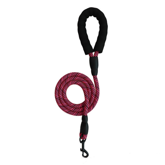 Adjustable Harness with Leash