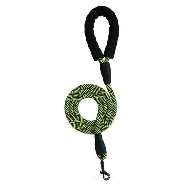 Adjustable Harness with Leash