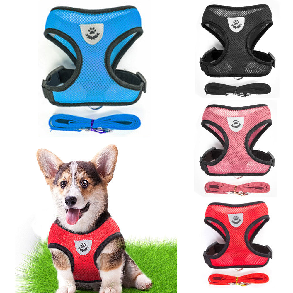 Breathable Small Dog Harness and Leash Set