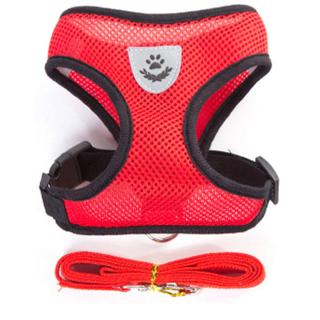 Breathable Small Dog Harness and Leash Set