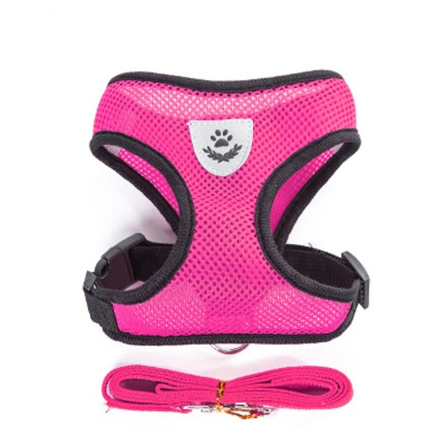 Breathable Small Dog Harness and Leash Set