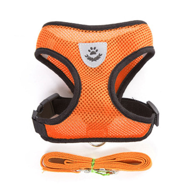 Breathable Small Dog Harness and Leash Set
