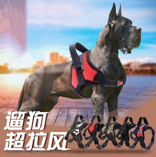 Adjustable Harness with Leash