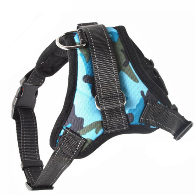 Adjustable Harness with Leash