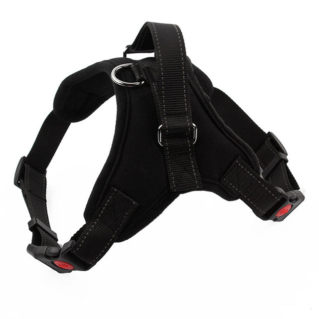 Adjustable Harness with Leash