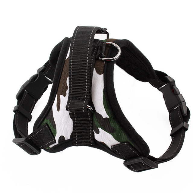 Adjustable Harness with Leash