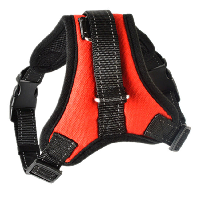 Adjustable Harness with Leash