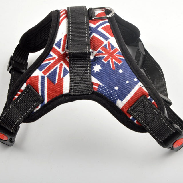 Adjustable Harness with Leash