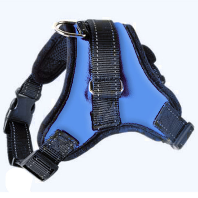Adjustable Harness with Leash