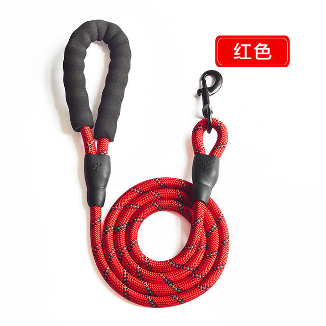 Adjustable Harness with Leash