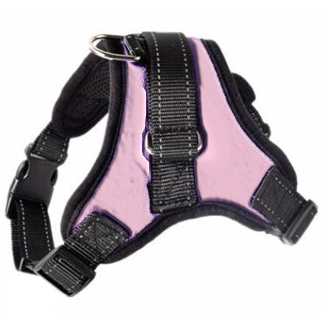 Adjustable Harness with Leash