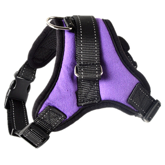 Adjustable Harness with Leash