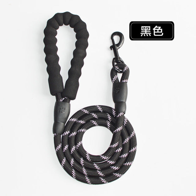 Adjustable Harness with Leash