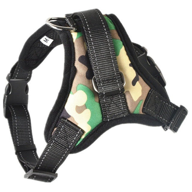 Adjustable Harness with Leash