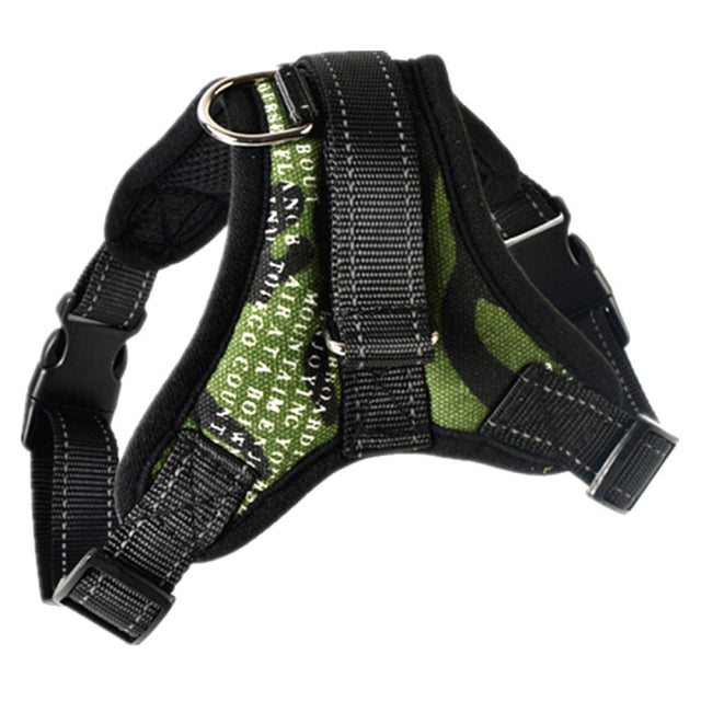 Adjustable Harness with Leash