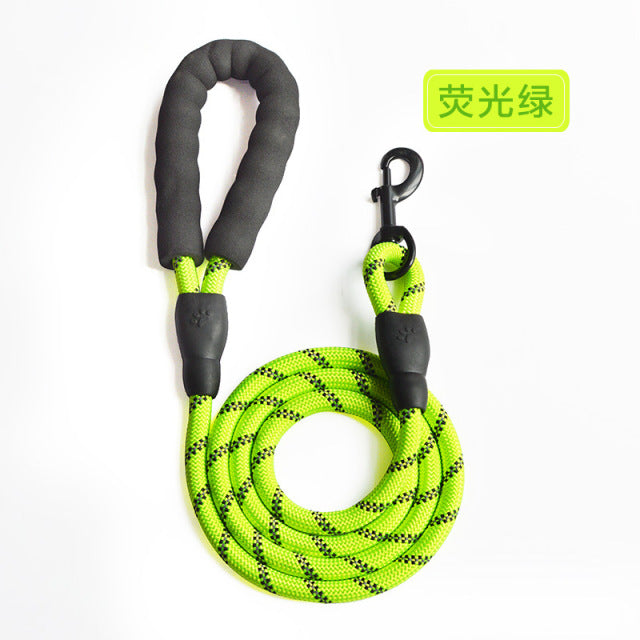 Adjustable Harness with Leash