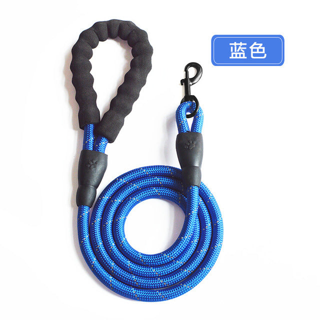 Adjustable Harness with Leash