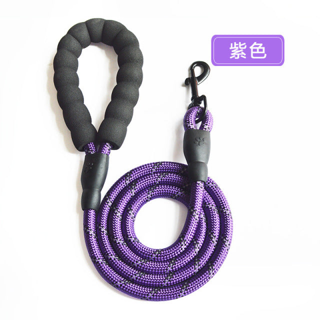 Adjustable Harness with Leash