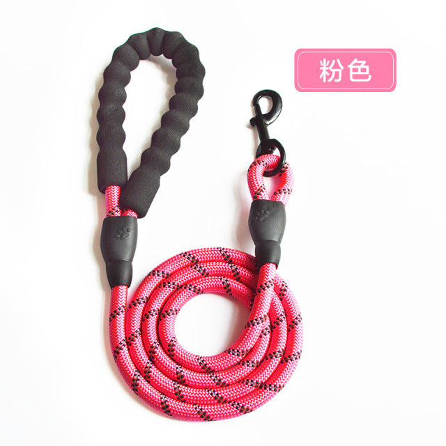 Adjustable Harness with Leash
