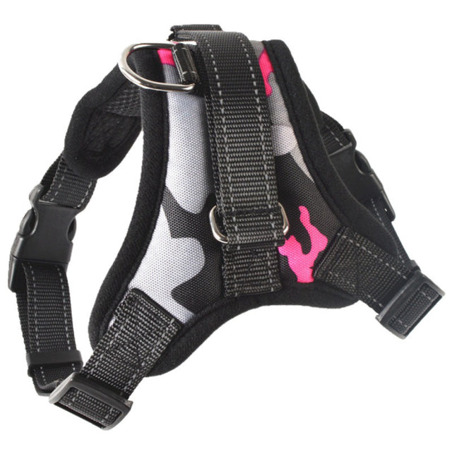 Adjustable Harness with Leash