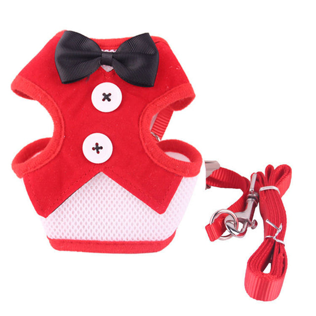 Elegant Bow Dog Collars