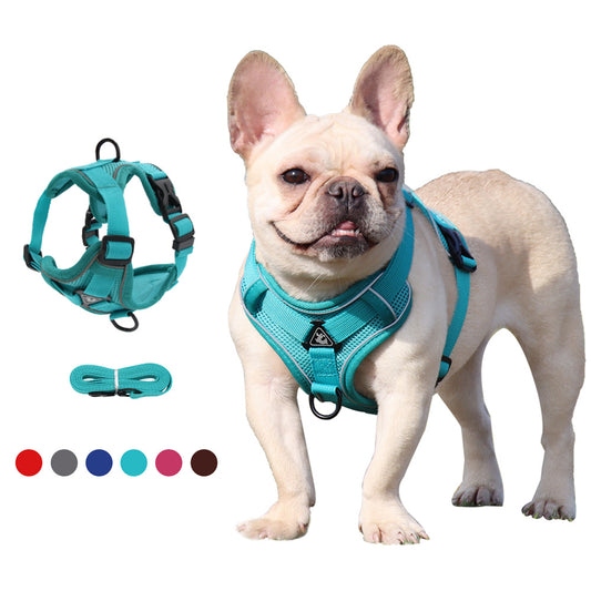 Harness with 1.5m Traction Leash Set