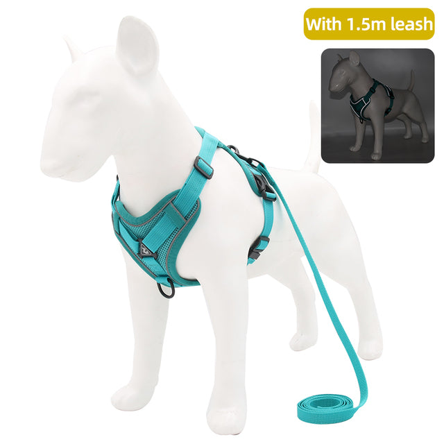 Harness with 1.5m Traction Leash Set
