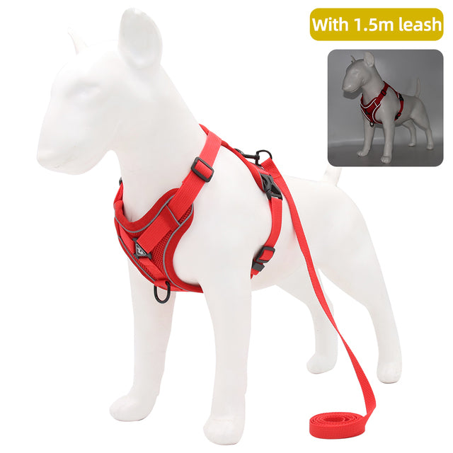Harness with 1.5m Traction Leash Set